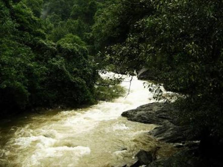 Kumaradhara River Trip Packages